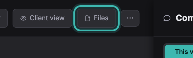The Files button in the project topbar, between Client view and the more menu